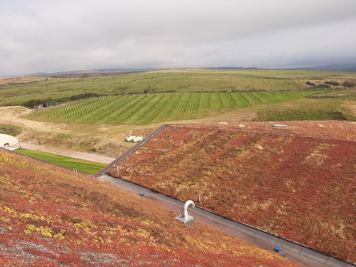 Green Roof 