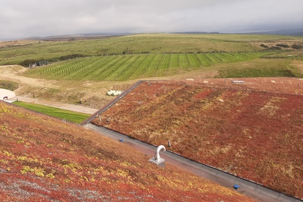 Green Roof 