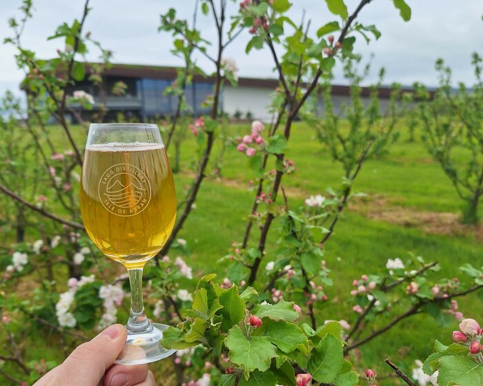 Cider in glass orchard shot
