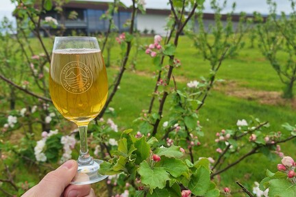 Cider in glass orchard shot