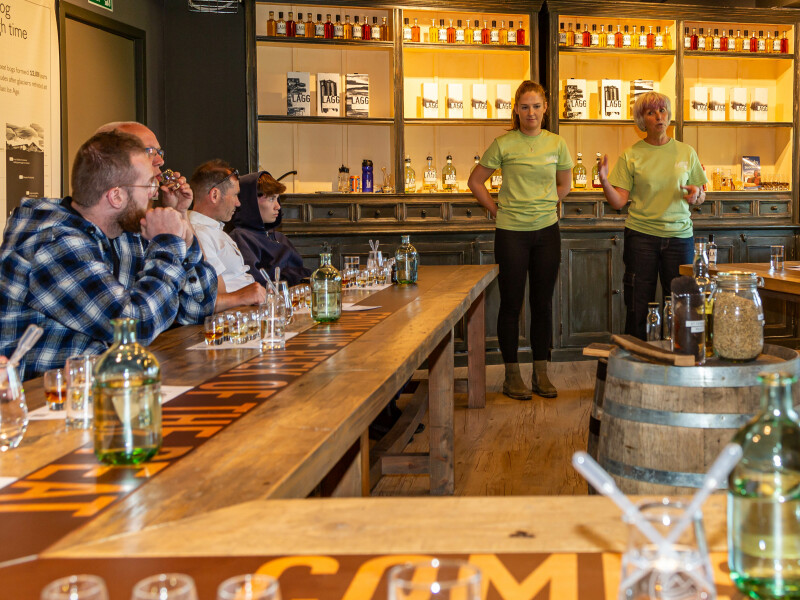 Festival Day 2024 48